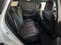Hyundai SANTA FE Santa+Fe+2.2+CRDi+4WD+Automatik+Premium Weiß - thumbnail 4
