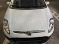 Fiat Punto Evo 1.2 8V Weiß - thumbnail 22