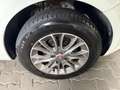 Fiat Punto Evo 1.2 8V Weiß - thumbnail 19