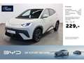 BYD Dolphin Elektro Comfort Weiß - thumbnail 1