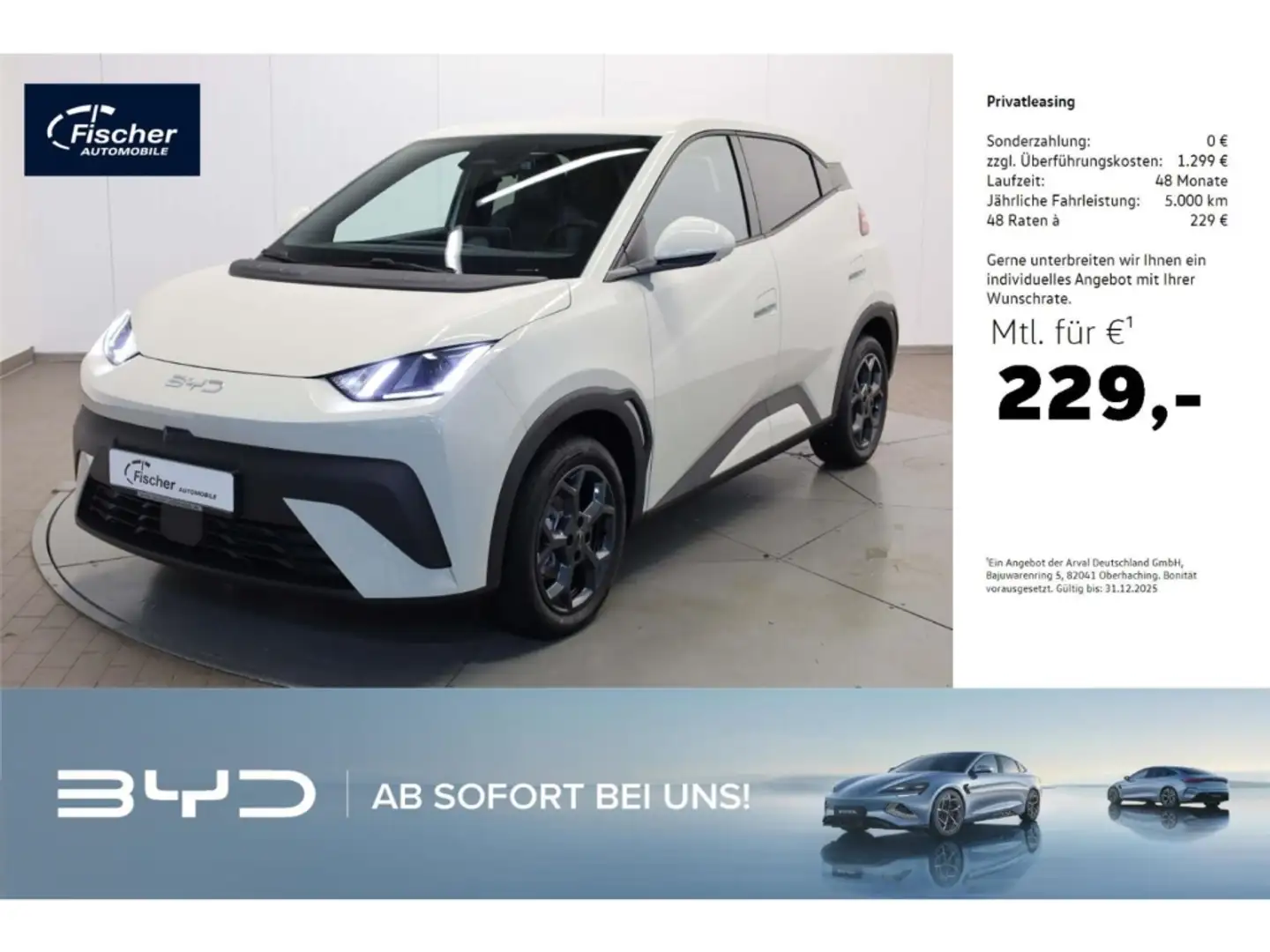 BYD Dolphin Elektro Comfort Weiß - 1