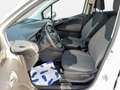 Ford Tourneo Courier 1,0 EcoBoost Titanium Weiß - thumbnail 10