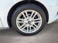 Ford Tourneo Courier 1,0 EcoBoost Titanium Weiß - thumbnail 7