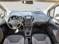 Ford Tourneo Courier 1,0 EcoBoost Titanium Weiß - thumbnail 11