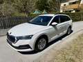 Skoda Octavia Ambition AHK Sitzhzg. PDC MFL Led Weiß - thumbnail 1