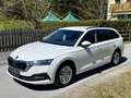 Skoda Octavia Ambition AHK Sitzhzg. PDC MFL Led Weiß - thumbnail 5