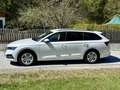 Skoda Octavia Ambition AHK Sitzhzg. PDC MFL Led Weiß - thumbnail 2