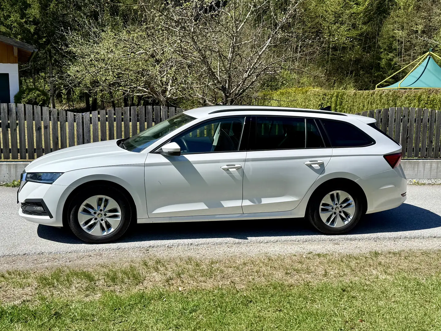 Skoda Octavia Ambition AHK Sitzhzg. PDC MFL Led Weiß - 2