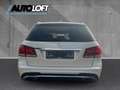 Mercedes-Benz E 500 T-Modell AMG-PAKET/DISTRONIC/AHK/PANO Weiß - thumbnail 5