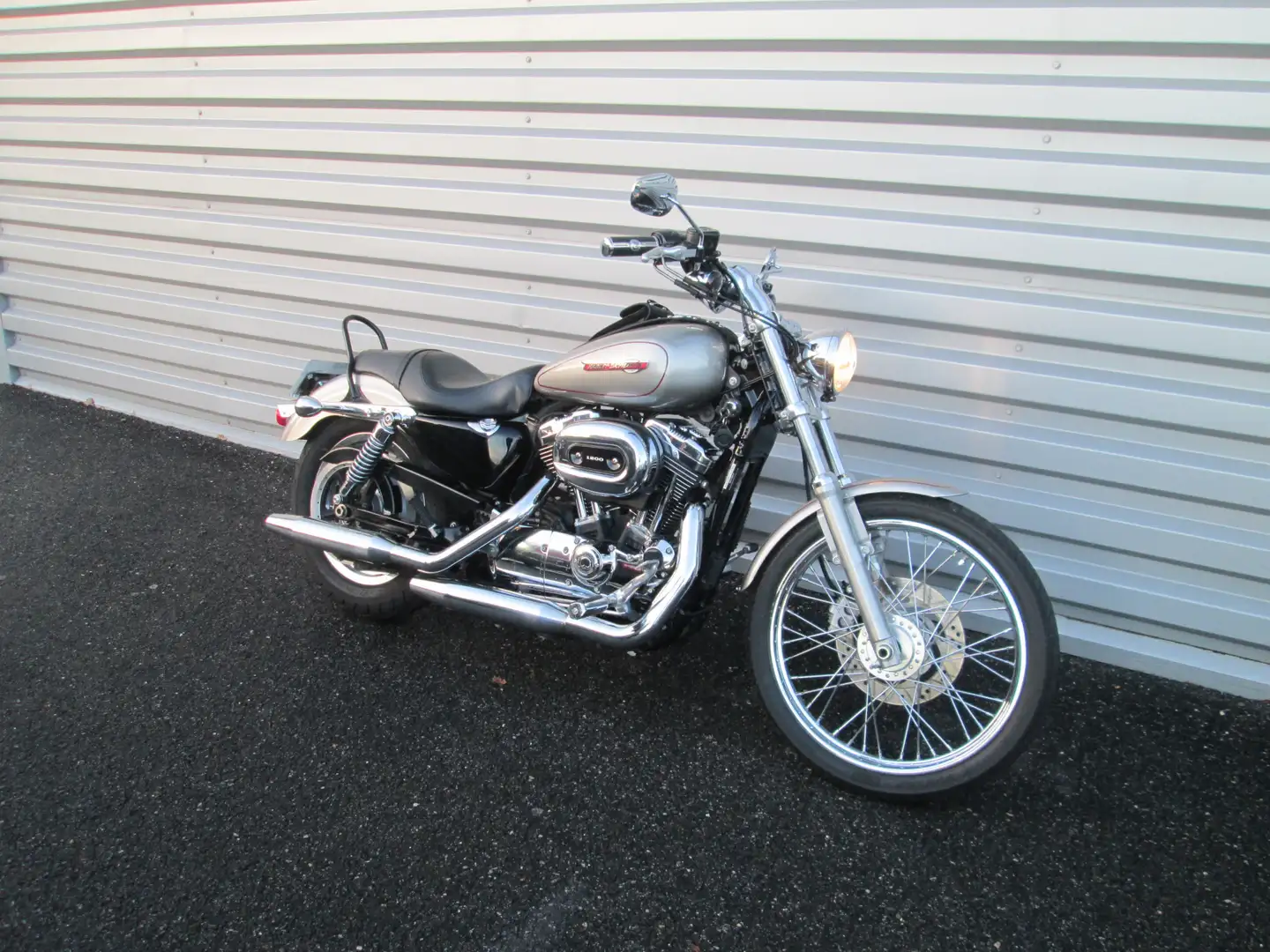 Harley-Davidson Sportster 1200 Grau - 1