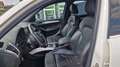 Audi Q5 2,0 TDI Quattro S-Line S-tronic Blanc - thumbnail 11
