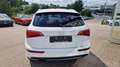 Audi Q5 2,0 TDI Quattro S-Line S-tronic Blanc - thumbnail 8