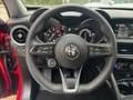 Alfa Romeo Stelvio 2.2 turbodiesel Sport Tech rwd 160cv auto Rosso - thumbnail 12
