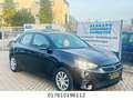 Opel Corsa F Edition Negro - thumbnail 1
