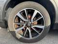 Nissan X-Trail 1.6 dCi 2WD Tekna Grau - thumbnail 14