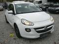 Opel Adam Basis  1.Hand & wenig Kilometer!!! Weiß - thumbnail 1