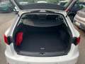 SEAT Leon 1.5 TGI ST XCELLENCE Bianco - thumbnail 6