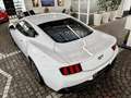 Ford Mustang GT V8 Automatik + Garantie + Deutsch Bianco - thumbnail 13