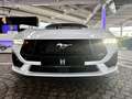 Ford Mustang GT V8 Automatik + Garantie + Deutsch Blanc - thumbnail 4