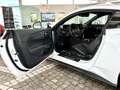 Ford Mustang GT V8 Automatik + Garantie + Deutsch Blanc - thumbnail 17