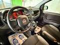 Fiat Panda Panda III 2021 1.0 firefly hybrid City Life s Nero - thumbnail 11