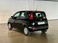 Fiat Panda Panda III 2021 1.0 firefly hybrid City Life s Nero - thumbnail 7