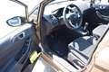 Ford Fiesta 1,,0 Trend SHZ/Klima/BT/ZV Brun - thumbnail 13