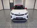 Kia Stonic 1.0 T-GDI Vision   Kamera|CarPlay|DCT Weiß - thumbnail 2