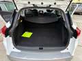 Renault Clio Clio Sporter 1.2 GT 120cv edc Weiß - thumbnail 16