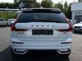 Volvo XC60 T8 AWD Plus Black Plug-In LED PANO 360° Weiß - thumbnail 4