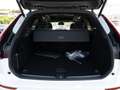 Volvo XC60 T8 AWD Plus Black Plug-In LED PANO 360° Weiß - thumbnail 8