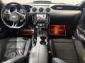 Ford Mustang GT500 Fastback*Perf.AGA*Eibach*Kamera* Noir - thumbnail 20