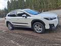 Subaru XV 1.6i CVT Pure Allrad Aut. - thumbnail 2