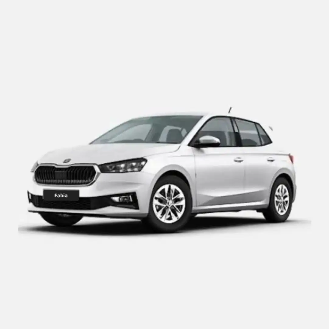 Skoda Fabia 1.0 TSI 110 CV Style Blanc - 1