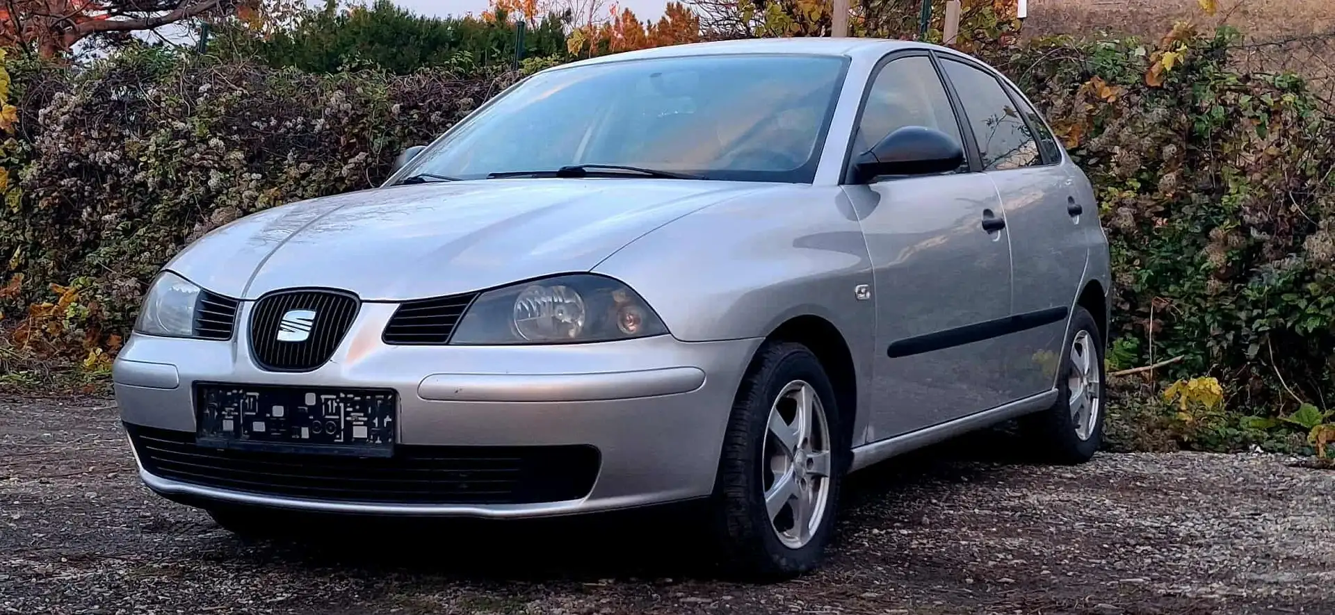 SEAT Ibiza Ibiza 1,9 SDI Pickerl 1/2026+4 Gris - 1