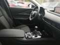 Mazda CX-30 G140 PRIME-LINE Rückfahrkamera, Tempomat Schwarz - thumbnail 14