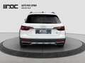 Audi A4 allroad A4 Allroad 40 TDI quattro S-tronic LED-Matrix/H... Blanc - thumbnail 4