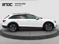 Audi A4 allroad A4 Allroad 40 TDI quattro S-tronic LED-Matrix/H... Blanc - thumbnail 6