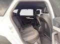 Audi A4 allroad A4 Allroad 40 TDI quattro S-tronic LED-Matrix/H... Bianco - thumbnail 17