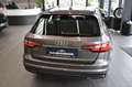 Audi A4 Avant 35TDI S-tronic LED~AHK~RFK~Tempomat~SHZ Gris - thumbnail 6
