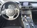 Lexus IS 300 300h Hybrid Business Line Automaat, Alarm,cruise,a Szürke - thumbnail 13