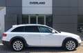 Audi A4 allroad A4 allroad 2.0 TDI F.AP. Wit - thumbnail 2