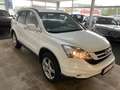 Honda CR-V Elegance 2.0 4x4 Automatik Leder Scheckheft Blanc - thumbnail 3