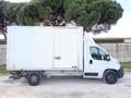 Citroen Jumper 35 BlueHDi SPONDA IDRAULICA + IVA22% Blanc - thumbnail 32