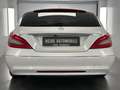 Mercedes-Benz CLS CLS  350 CDI Sb H&K Kamera Led Weiß - thumbnail 8
