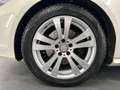 Mercedes-Benz CLS CLS  350 CDI Sb H&K Kamera Led Weiß - thumbnail 6