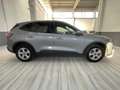 Ford Kuga Kuga 1.5 EcoBlue 120 CV aut. 2WD Titanium Business Grau - thumbnail 3