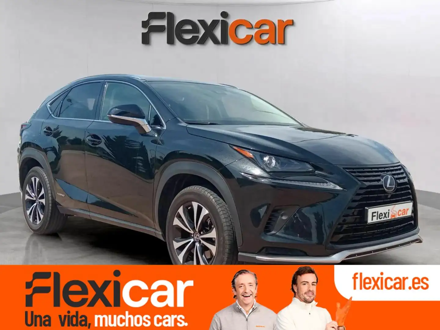 Lexus NX 300h 2.5 Premium 2WD Gris - 1