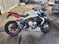 MV Agusta Brutale 800 Blanc - thumbnail 1