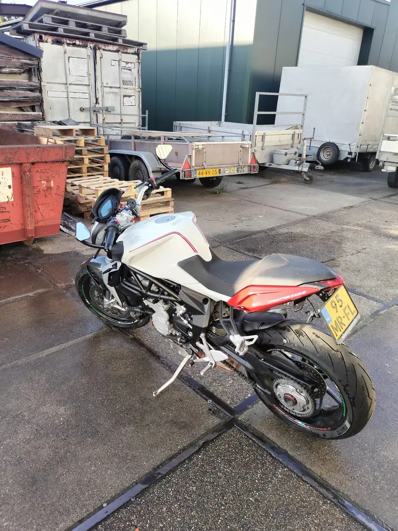 MV Agusta Brutale 800 Blanc - 2